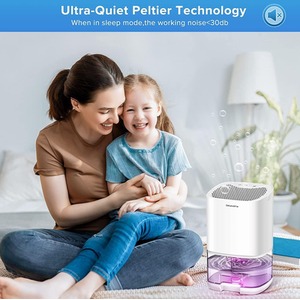 Portable Dehumidifier for Home and Office - White