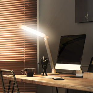 Fern Howard White Dimmable LED Desk Lamp with USB port - White by Fern Howard