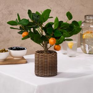 Artificial Orange Tree In Ceramic Pot - Orange by OHS