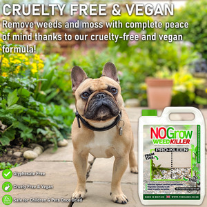 Pump Sprayer With No Grow Weed and Moss Killer - Green / 10l by Pro-Kleen