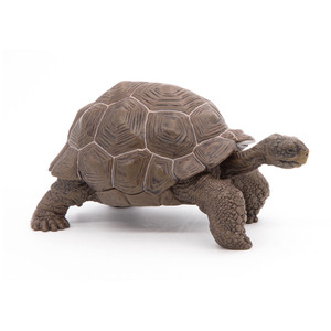 PAPO Wild Animal Kingdom Galapagos Tortoise Toy Figure - Green by PAPO