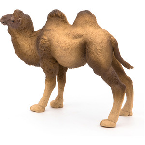 PAPO Wild Animal Kingdom Bactrian Camel Toy Figure - Brown by PAPO