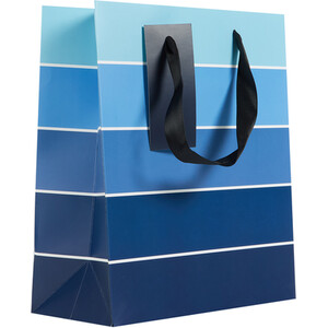 Pack of 2 Navy Medium and Small Gift Bags - Navy