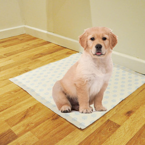 Dog and Puppy Toilet Training Leak Proof Pads - White by STORM TRADING GROUP