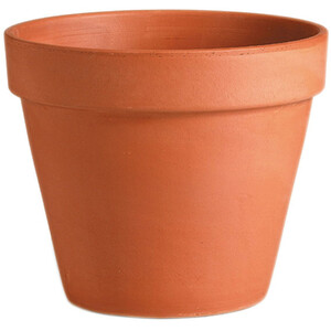 Terracotta Pot