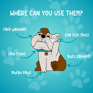 Dog Wrinkle Wipes - White Wipes by Bully Beauty LTD