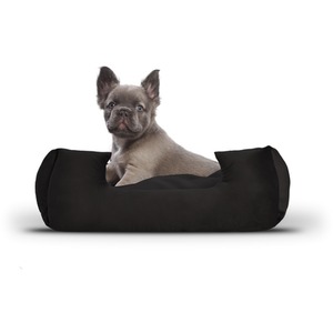 Small Black Plush Velvet Dog Bed - Black by FABRICNCO