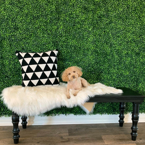 Set of 12 Artificial Boxwood Hedge Screens - Green by Yaheetech