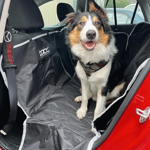 Car Cover - Black by Doog