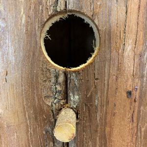 Rustic Barkwood Birdhouse Nest Box - Brown / 2 by Selections