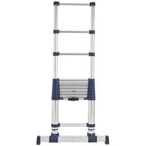XtendClimb ProSeries S2.0 Telescopic Ladder - Silver / 320cm by TB Davies