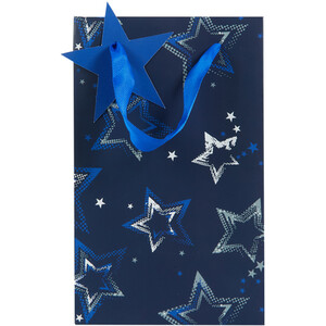 Pack of 2 Navy Medium and Small Gift Bags - Navy
