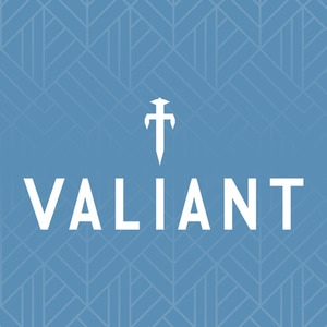 Portable BBQ Grill and Camping Kettle - Black by Valiant