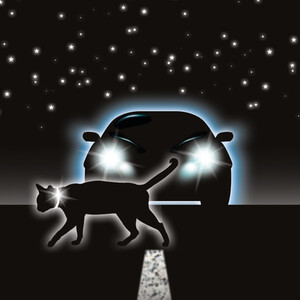 Beaphar Cat Flea Collar - Reflective by Beaphar