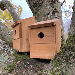 Multi-Hole Wild Bird Classic Nest Birdhouse Boxes - Brown / 2 by Selections