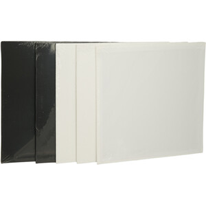 Canvas Value Set by Art Studio