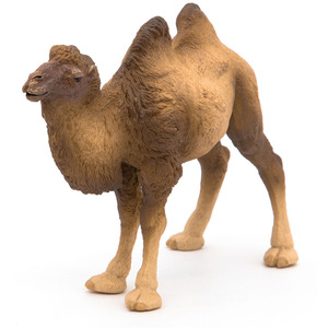 PAPO Wild Animal Kingdom Bactrian Camel Toy Figure - Brown by PAPO