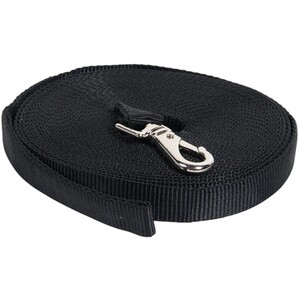 Training Recall Control Lead by Clever Paws