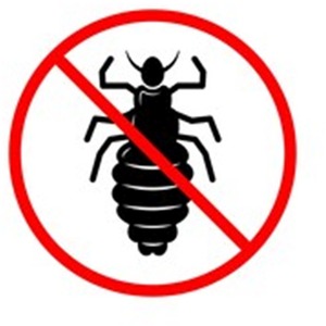 Kids Head Lice Repellent Spray Leave In Hair Conditioner Detangling Spray 150ml - Neutral / 3 by 151 Products Ltd