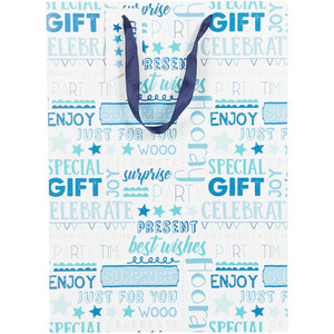 Pack of 5 Multi Sized Gift Bags - Blue