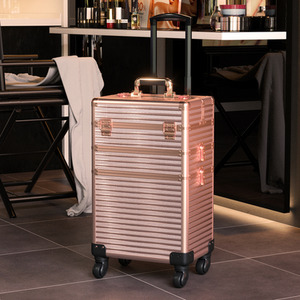 Professional Beauty Case on Wheels by Livingandhome