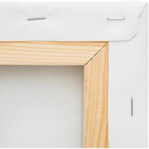 Fax Potato Stretched Canvas with Wooden Wedges - 12