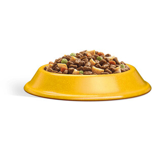 Whiskas Complete 1+ Dry Cat Food - Chicken by Whiskas