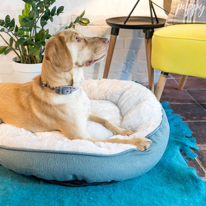 High Sided Deep Filled Donut Bed - Grey / 52cm by Dream Paws