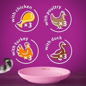 Whiskas Kitten Pouches in Jelly - Poultry Feast by Whiskas