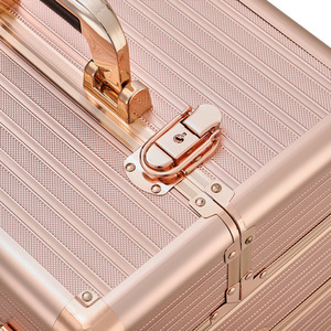 Professional Beauty Case on Wheels by Livingandhome