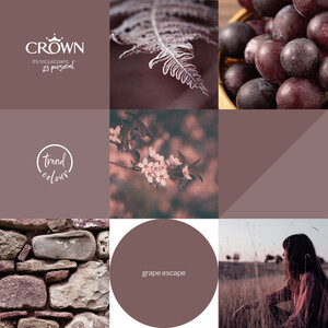 Crown Matt Emulsion by Crown Paints