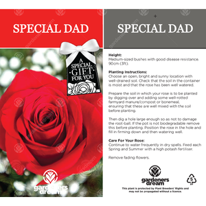 Special Dad Rose Bush - Red by Gardeners Dream