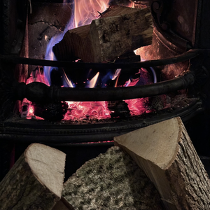 Bulk Bag of Hardwood Logs - Brown by Maxchips