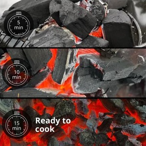 Premium Hardwood Lumpwood Birch Charcoal 10kg - Black / 6 by Birch Globaltic