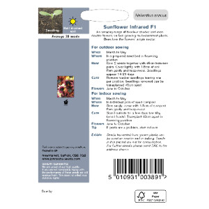 Pack of Infrared F1 Sunflower Seeds by Johnsons