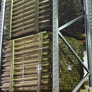 50mm Round Wooden Posts Treated by True Products