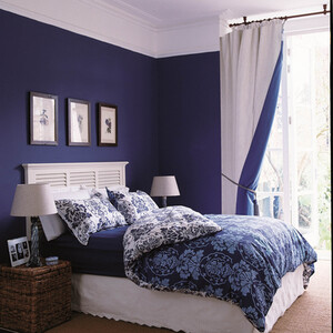 Craig and Rose Chalky Matt Emulsion by Craig & Rose