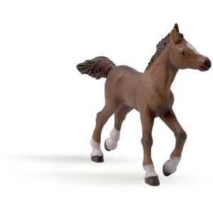 PAPO Horse and Ponies Anglo-Arab Foal Toy Figure - Brown by PAPO