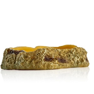 Swell Reptiles Food Dish by Swell Reptiles