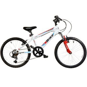 Dallingridge Brave Junior Hardtail Mountain Bike, 20In Wheel - Gloss White/Red by Dallingridge