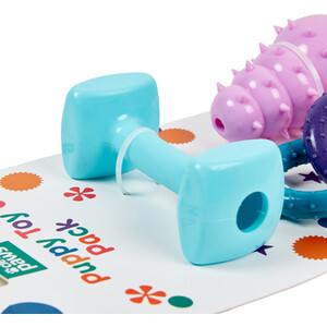 Pack of 3 Clever Paws Puppy Toys by Clever Paws