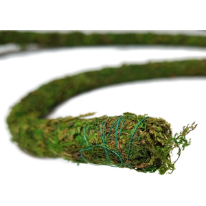 Swell Reptiles Moss Cane by Swell Reptiles