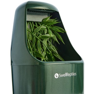 Swell Reptiles Drinking Fountain and Humidifier - Green by Swell Reptiles