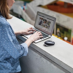 Logitech Wireless Optical Mouse - Multicoloured / Compact Wireless by Logitech