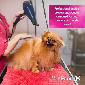 Baby Powder Fragrance Dog Shampoo 2 Litres and Ear Cleaner 250ml - Clear by Pretty Pooch