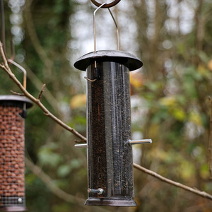 Hanging Wild Bird Feeder Set of 4 Nut Seed Fat Ball - Dark Brown by Actiaspet
