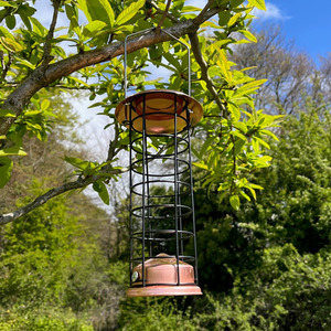Copper Style Hanging Bird Suet Fat Ball Feeder - Copper / 2 by Selections