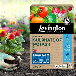Sulphate Of Potash All Purpose Plant Feed 1.5kg - Natural by Levington