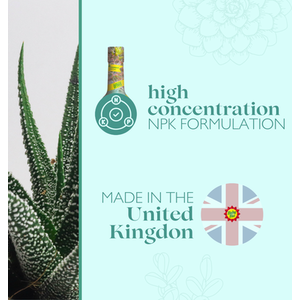 Baby Bio Succulent Food - Green by Baby Bio