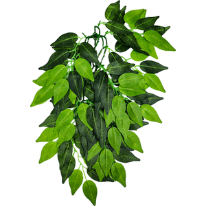 Swell Reptiles Ficus - Green / 50cm by Swell Reptiles